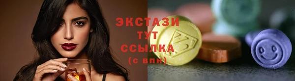 тгк Рославль