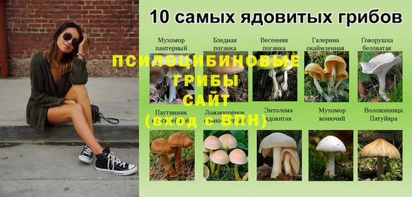 ECSTASY Богданович