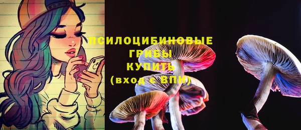 PSILOCYBIN Богородск
