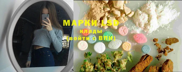 ECSTASY Богданович