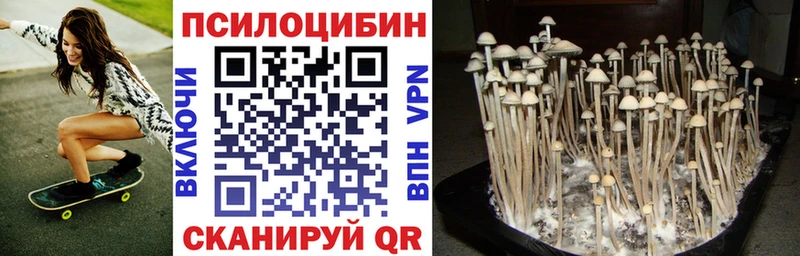 Псилоцибиновые грибы MAGIC MUSHROOMS Бутурлиновка